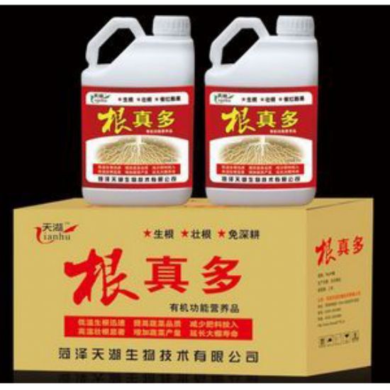 点击查看详细信息<br>标题：根真多 阅读次数：3795
