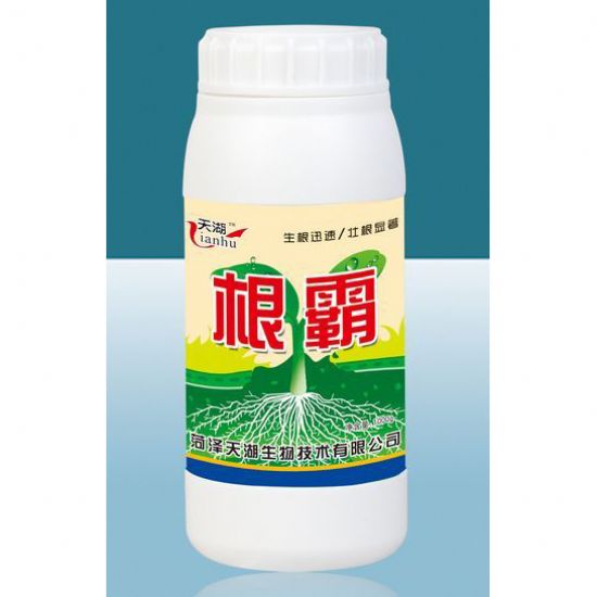 点击查看详细信息<br>标题：根霸 阅读次数：4124