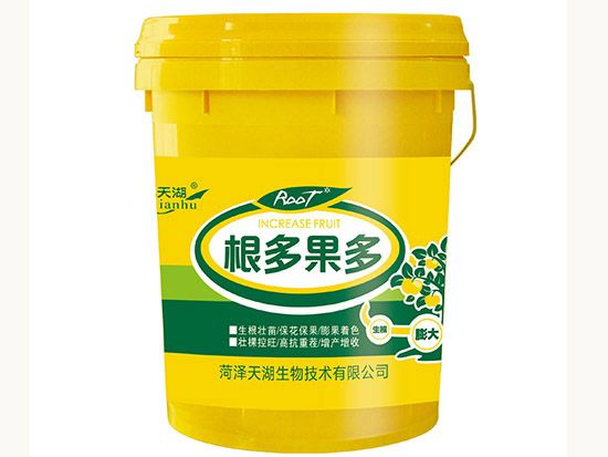 点击查看详细信息<br>标题：根多果多 阅读次数：2443